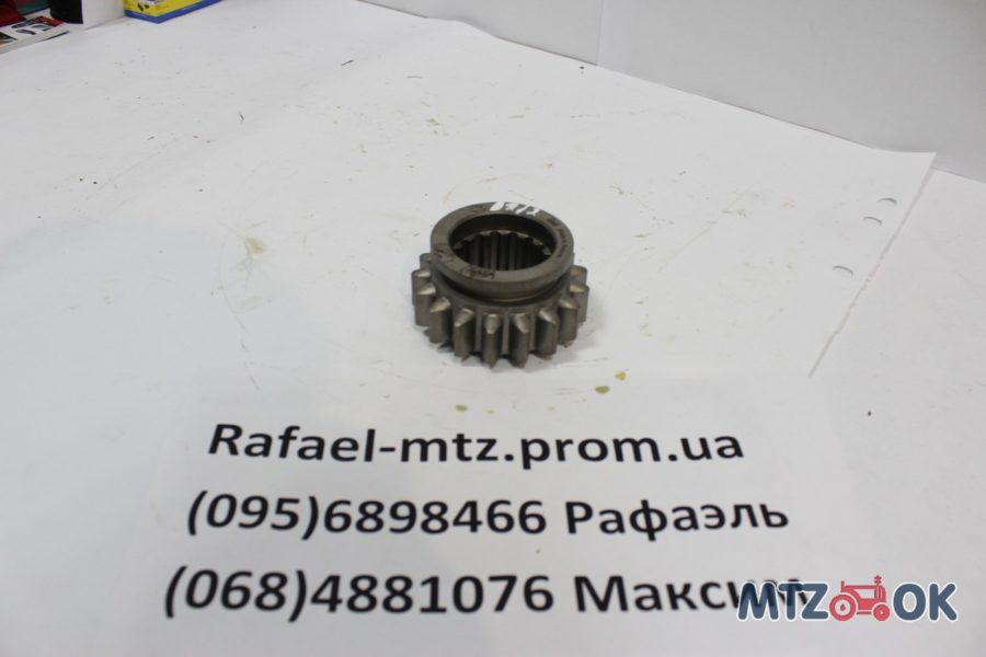 1067144646_w640_h640_img_3762-e1571402103970