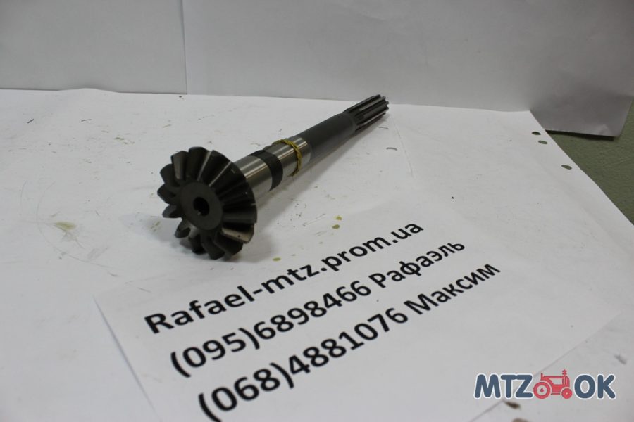 1067149193_w640_h640_img_3764-e1571402120454