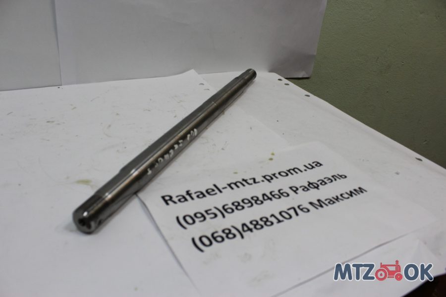 1067898713_w640_h640_img_3772-e1571402187499