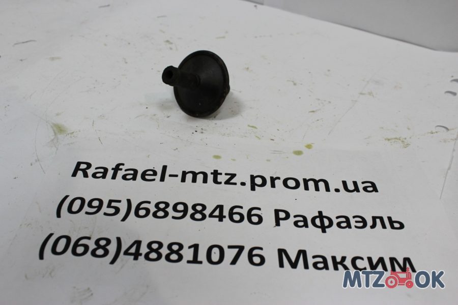 1068792220_w640_h640_img_3855-e1571402944821