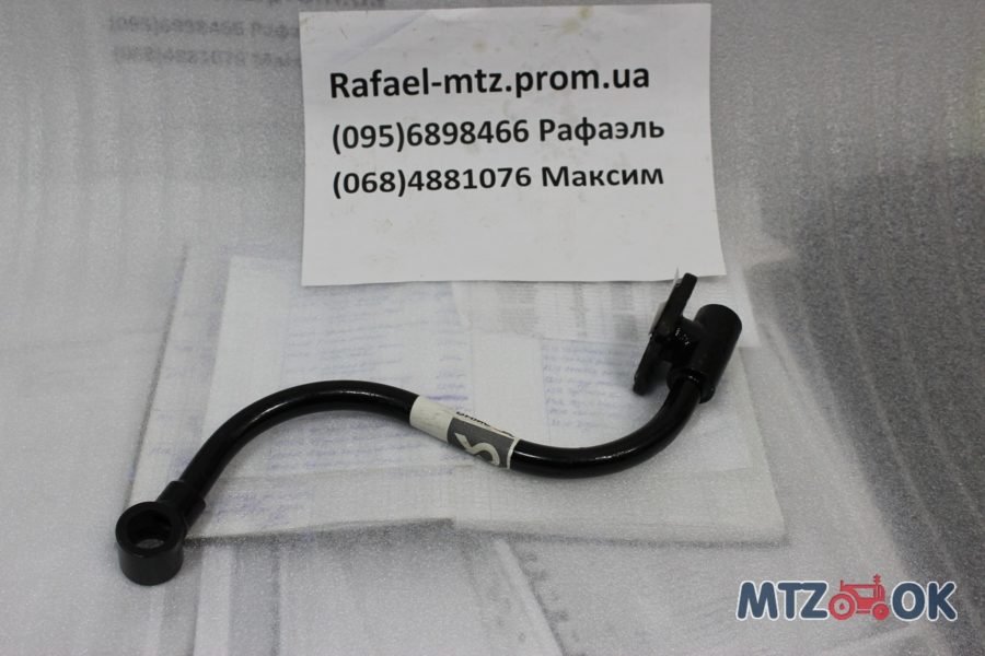 1101993417_w640_h640_img_4098-e1571812956684