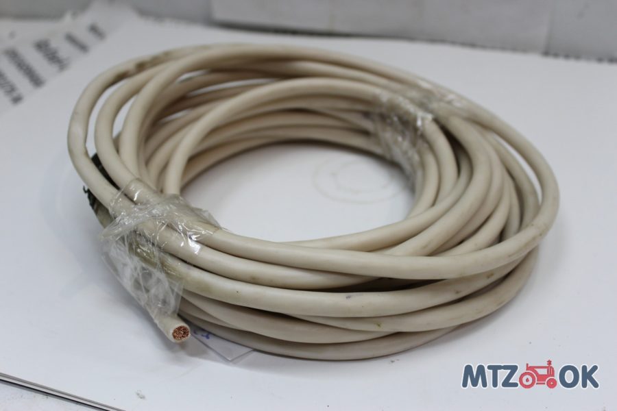 1294273688_w640_h640_img_5388-e1570540261653