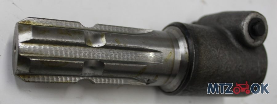 1321389439_w640_h640_img_5520-e1570537307261