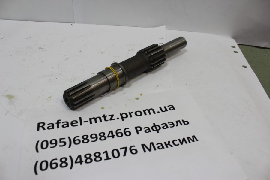 1360926188_w640_h640_img_3770-e1570535112963