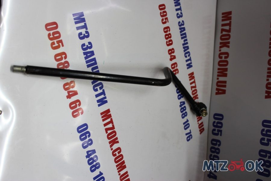 1521312749_w640_h640_img_6020-e1570177048672