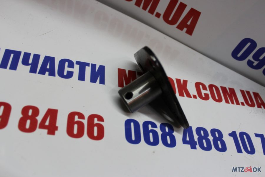 img_6080-e1570176257696