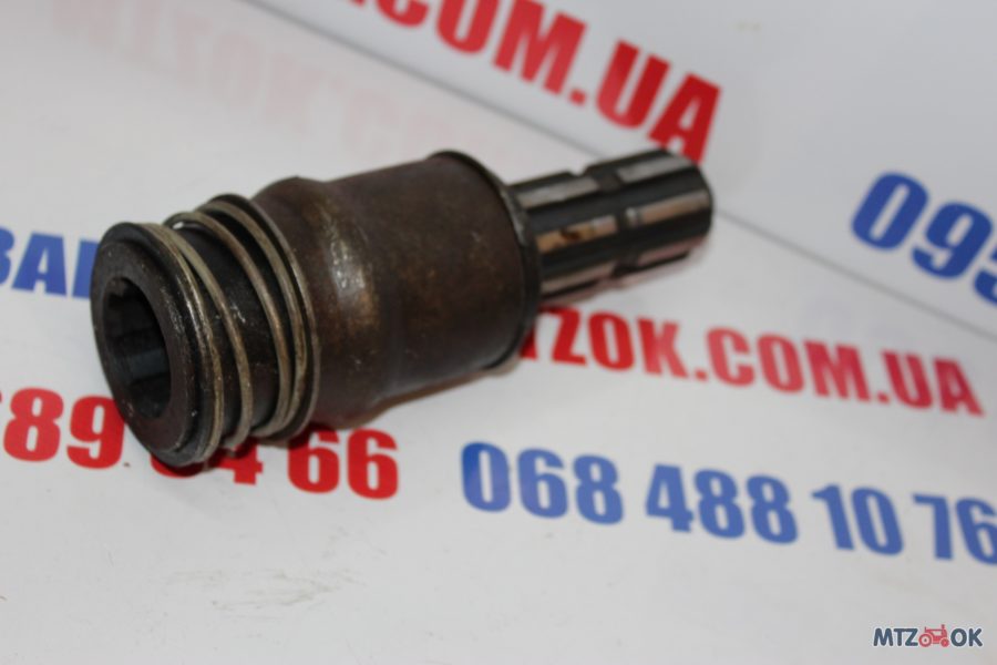 img_6240-e1570107129553