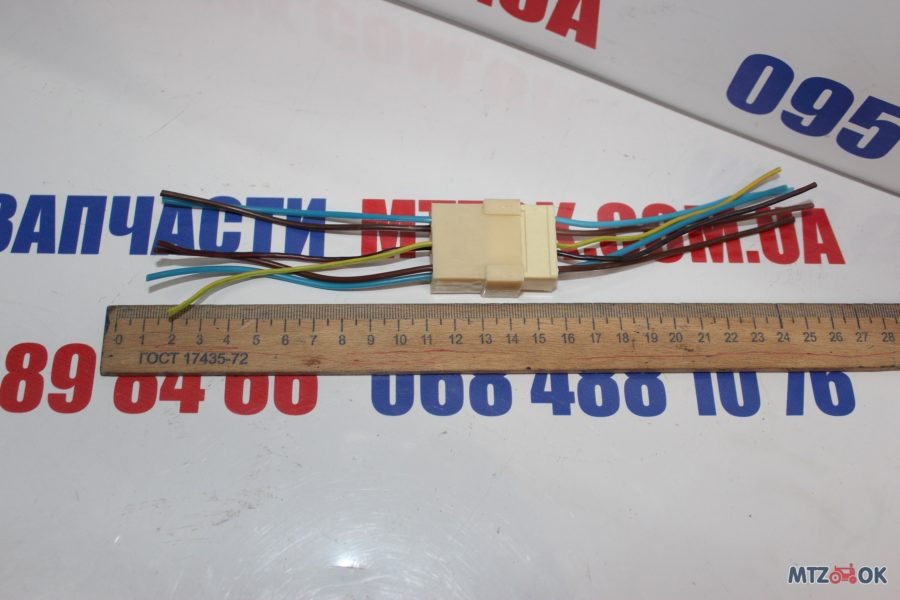 img_6343-e1570099054188