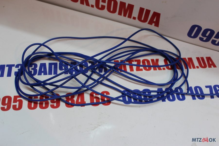 img_6346-e1570099107654