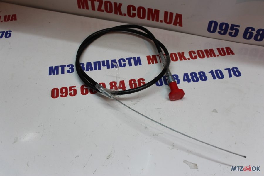 img_6347-e1570099026940