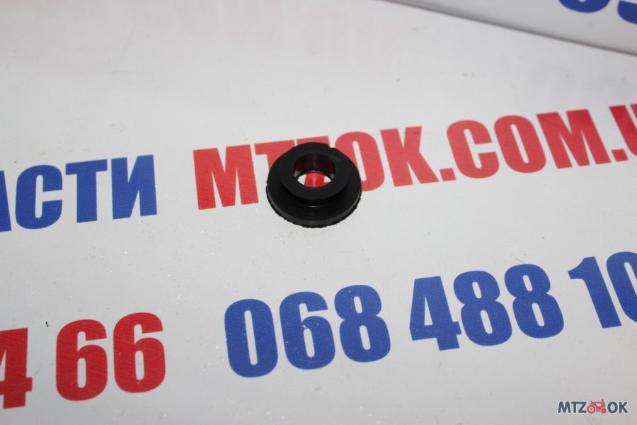 img_6420-e1570097966554