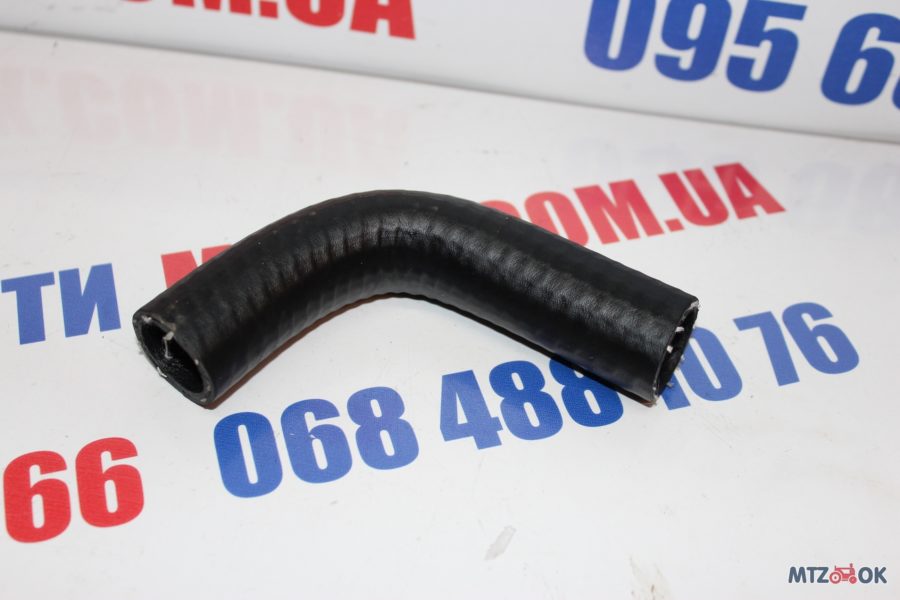 img_6423-e1570097789728