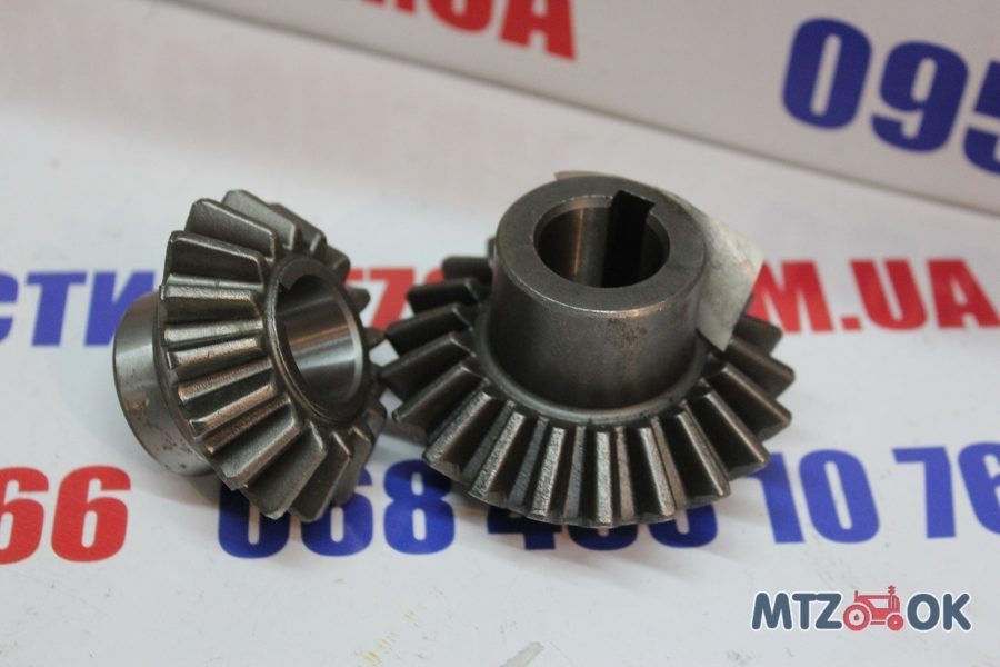 img_6492-e1570096529870