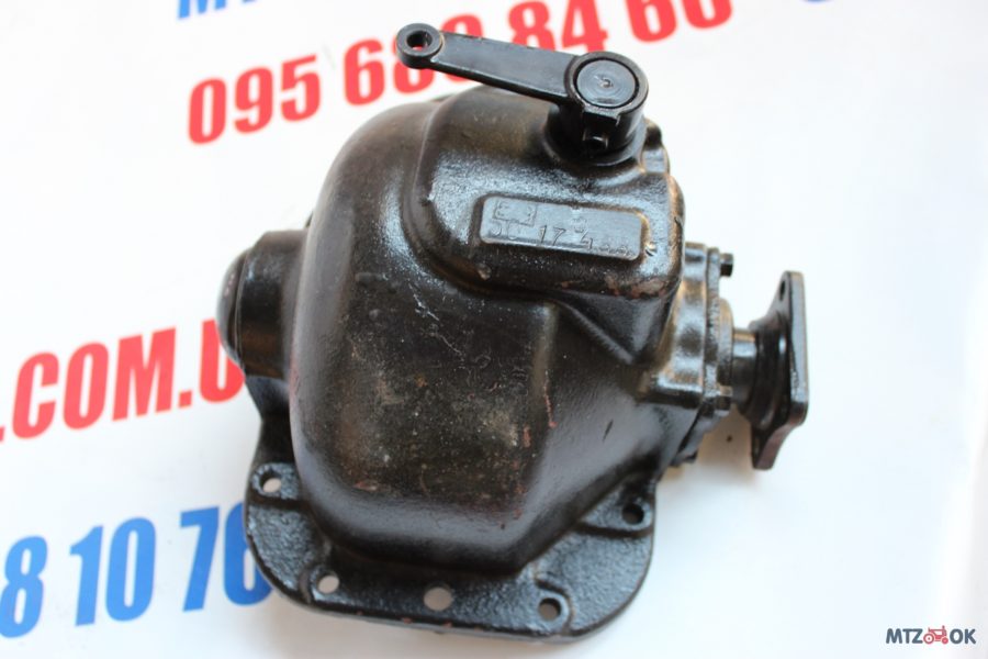 img_6563-e1570092002716