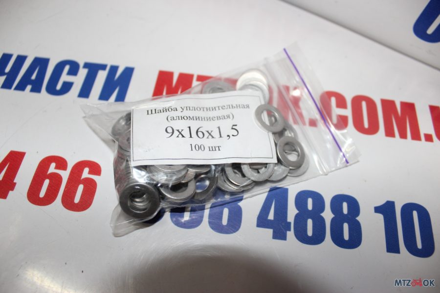 img_6595-e1570091341791