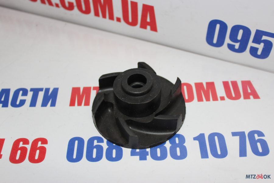 img_6598-e1570091308290