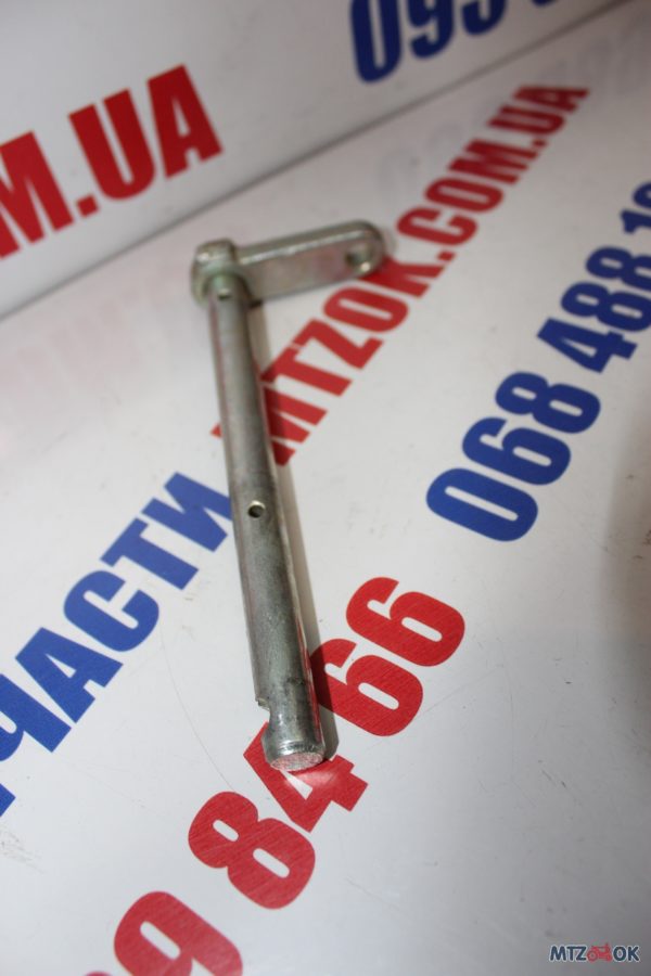 img_6785-e1570086909761