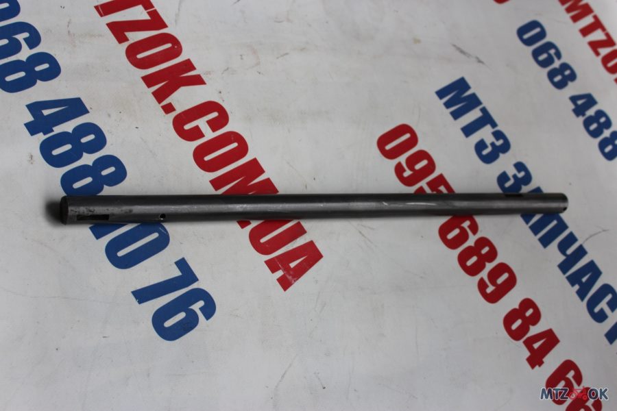 img_6853-1-e1570430771137