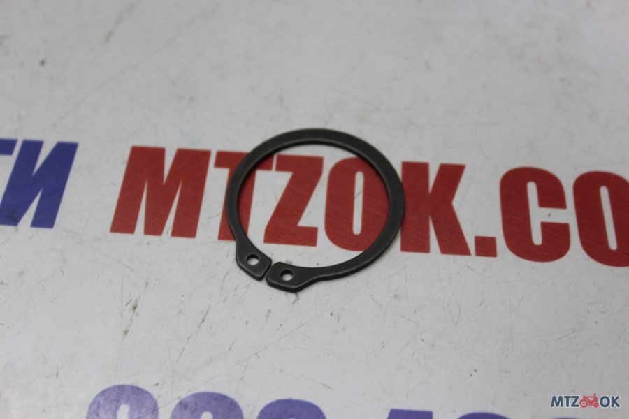 img_6943-e1572010520410