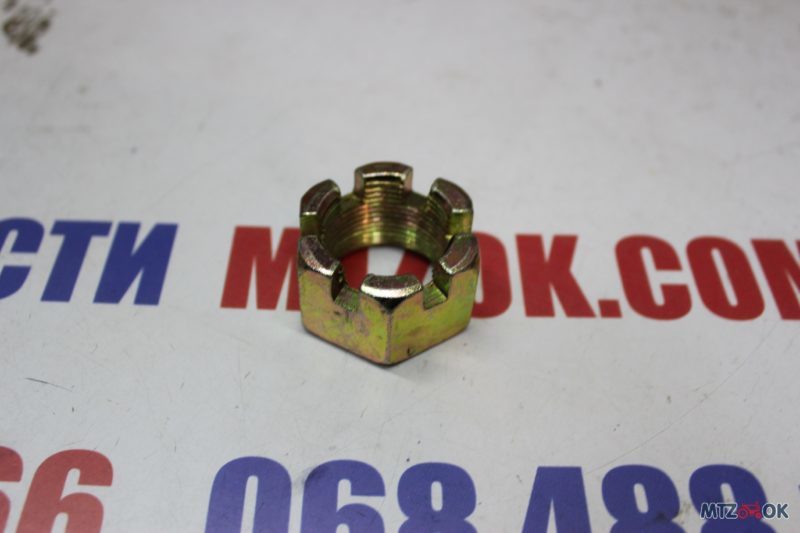 img_7015-e1573126875304