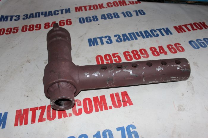 img_7378-e1581493007359