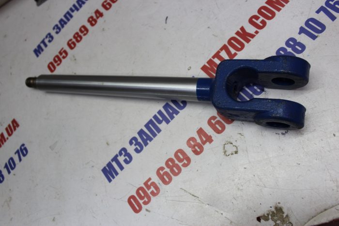 img_7411-e1582100015205