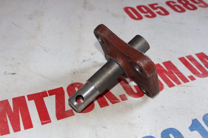 img_7443-scaled-e1583312030220