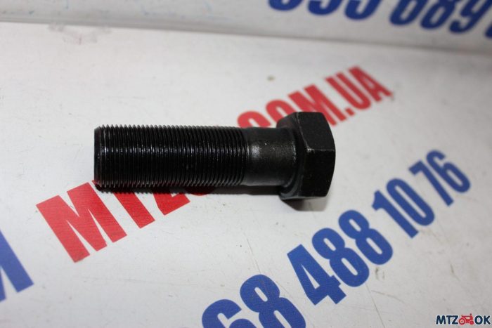 img_7583-scaled-e1584703800262