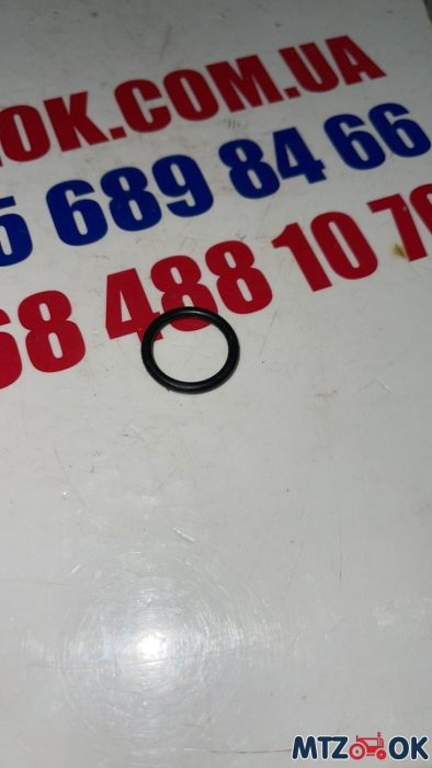 izobrazhenie_viber_2021-11-30_13-01-30-073-e1638612867545