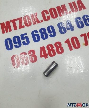 izobrazhenie_viber_2021-12-06_14-25-56-546-e1638795543555