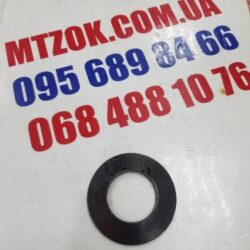 Пружина (пр-во ТАРА) 72-2209021