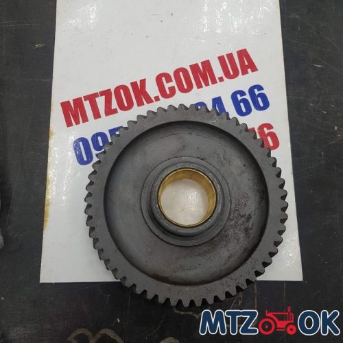 izobrazhenie_viber_2022-01-24_15-10-13-803-e1643029453207