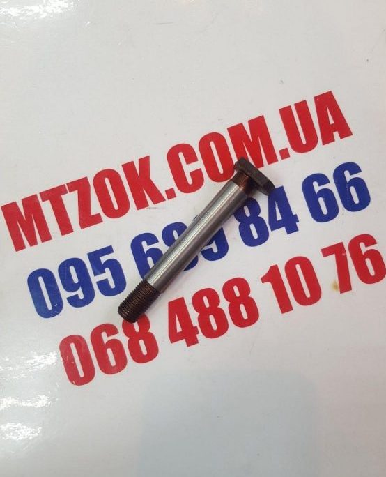 palec-mahovika-d-240243245-e1615635548745