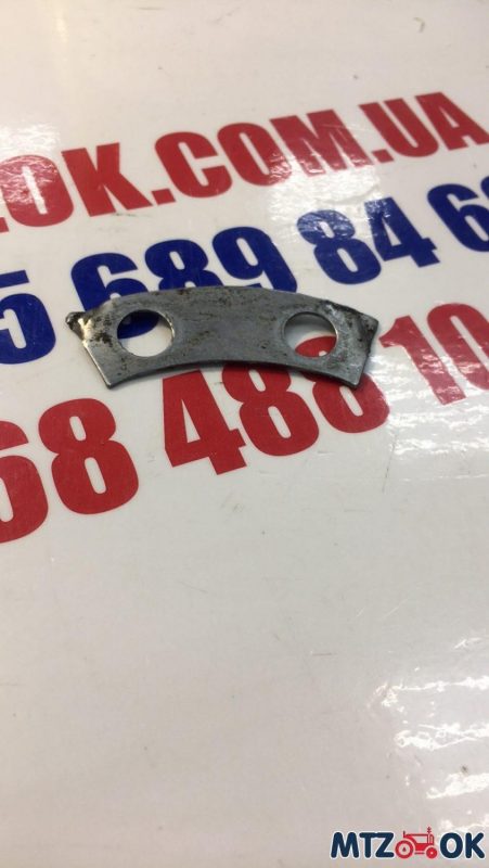 plastina-e1622536564471